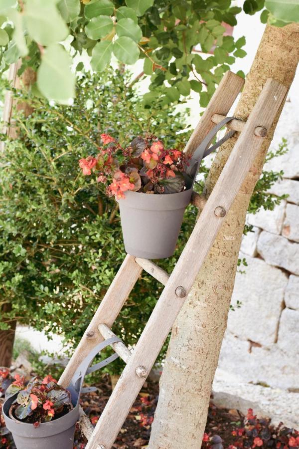 Trulli Pastore Alberobello Exterior photo